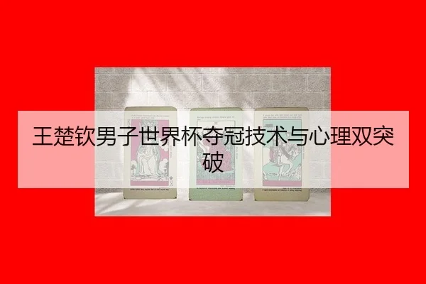 wang-chu-qin-nan-zi-shi-jie-bei-duo-guan-ji-shu-yu-xin-li-shuang-tu-po-2-911.jpg