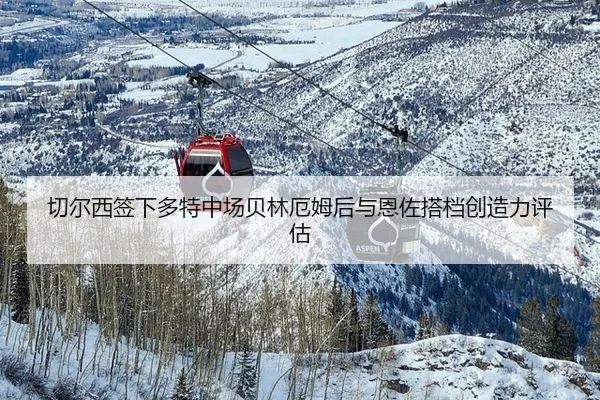 qie-er-xi-qian-xia-duo-te-zhong-chang-bei-lin-e-mu-hou-yu-en-zuo-da-dang-chuang-zao-li-ping-gu-2-526.jpg