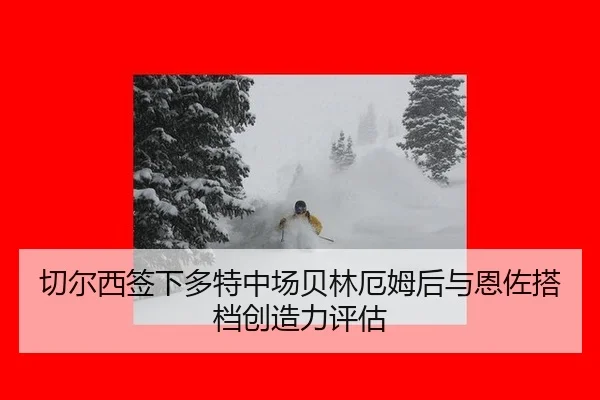qie-er-xi-qian-xia-duo-te-zhong-chang-bei-lin-e-mu-hou-yu-en-zuo-da-dang-chuang-zao-li-ping-gu-1-299.jpg