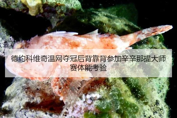 de-yue-ke-wei-qi-wen-wang-duo-guan-hou-bei-kao-bei-can-jia-xin-xin-na-ti-da-shi-sai-ti-neng-kao-yan-1-101.jpg